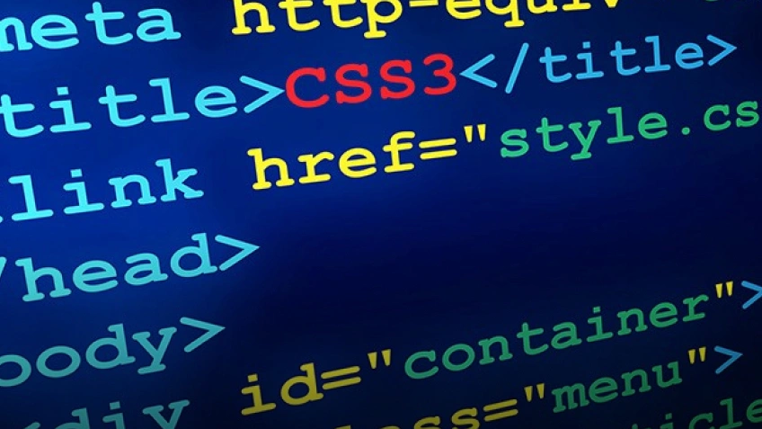 Frontend Web Development 